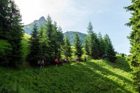 Monte navagiust - Oton Naglost 9